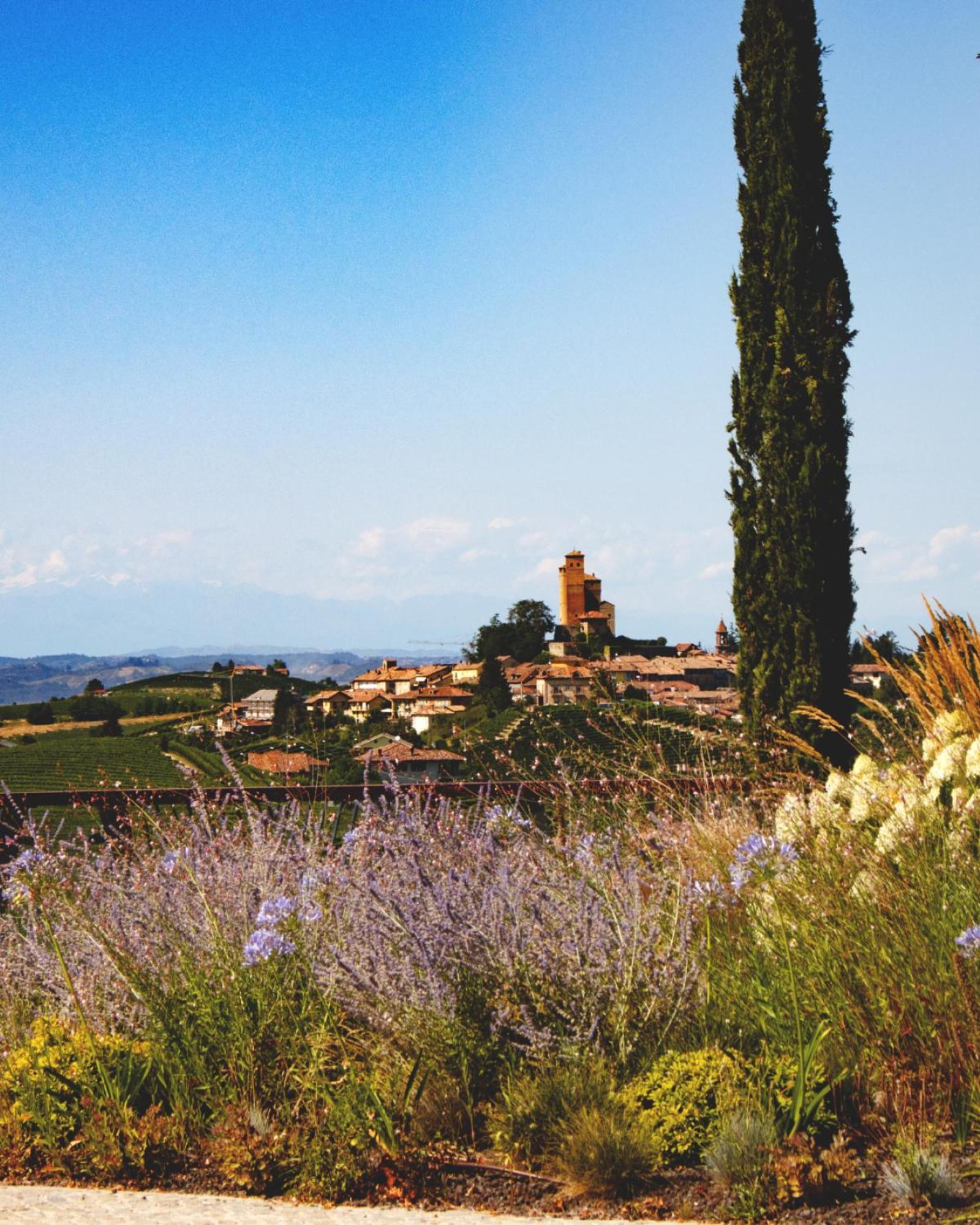 Il Boscareto & 5* Serralunga d'Alba